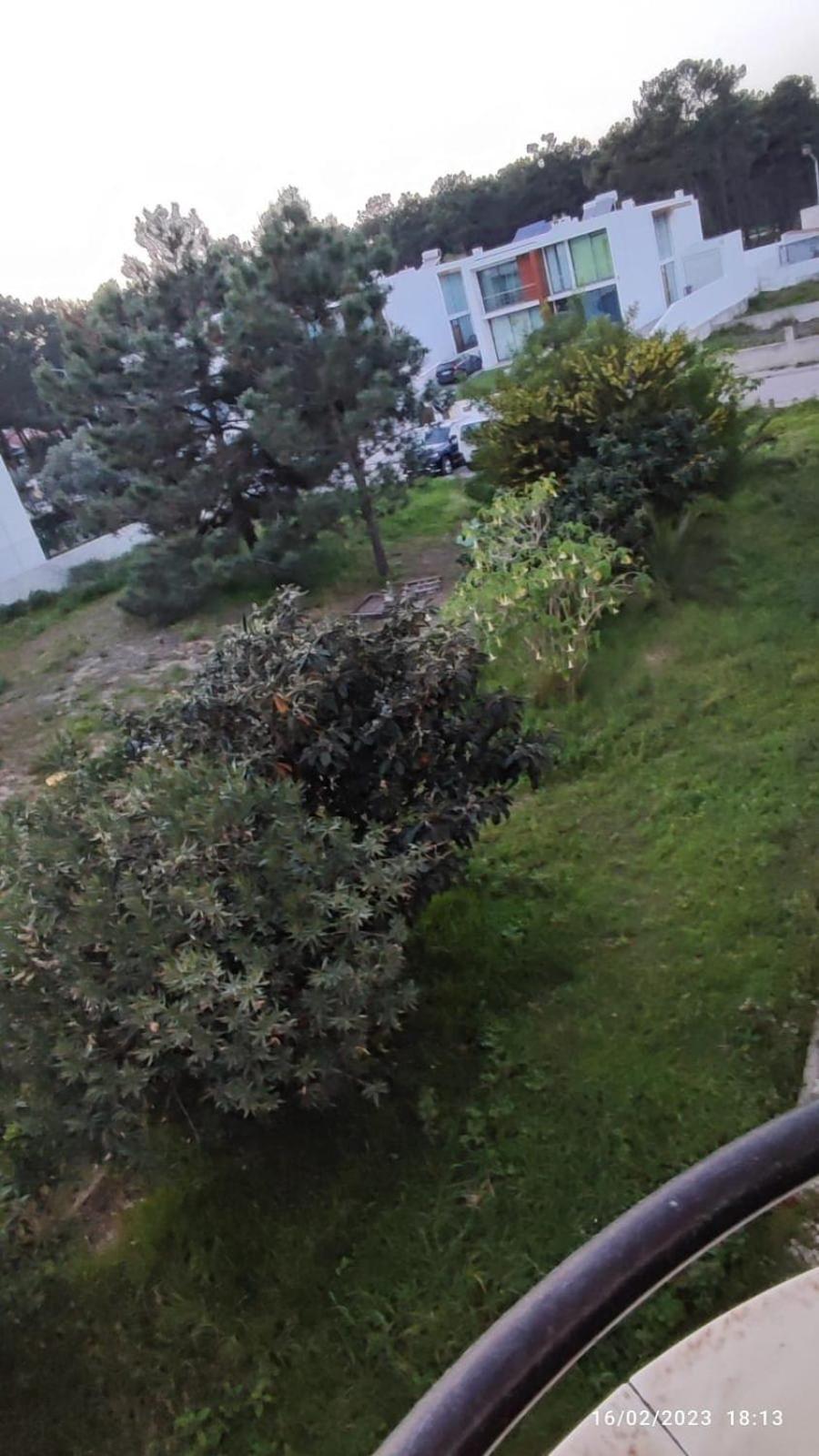 Beach, Surf And Golf Apartment Near Lisbon Aroeira  Екстериор снимка